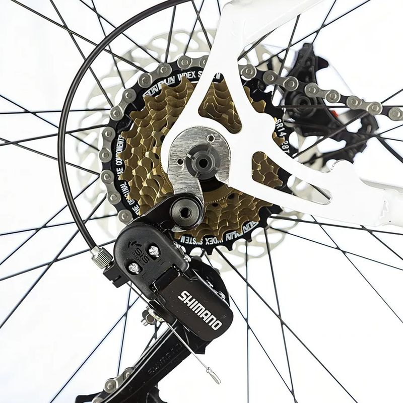 BICICLETA DUCCE  005