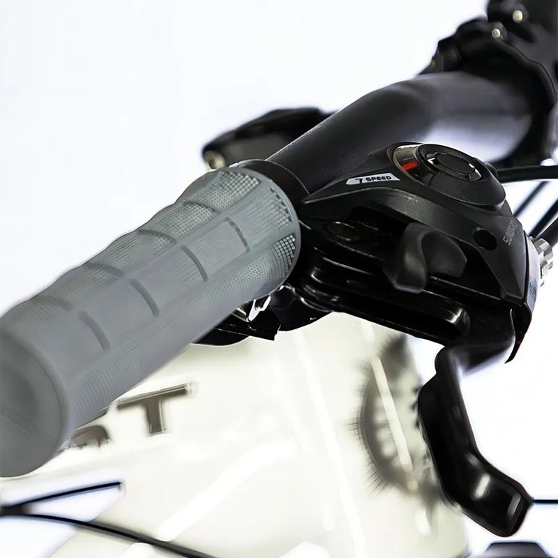 BICICLETA DUCCE 003