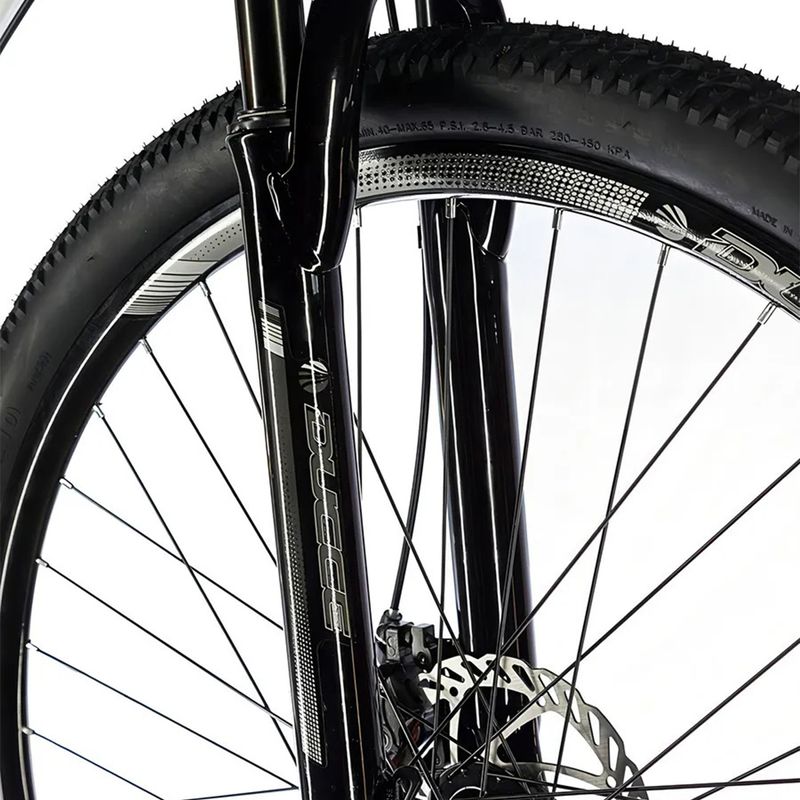 BICICLETA DUCCE 004
